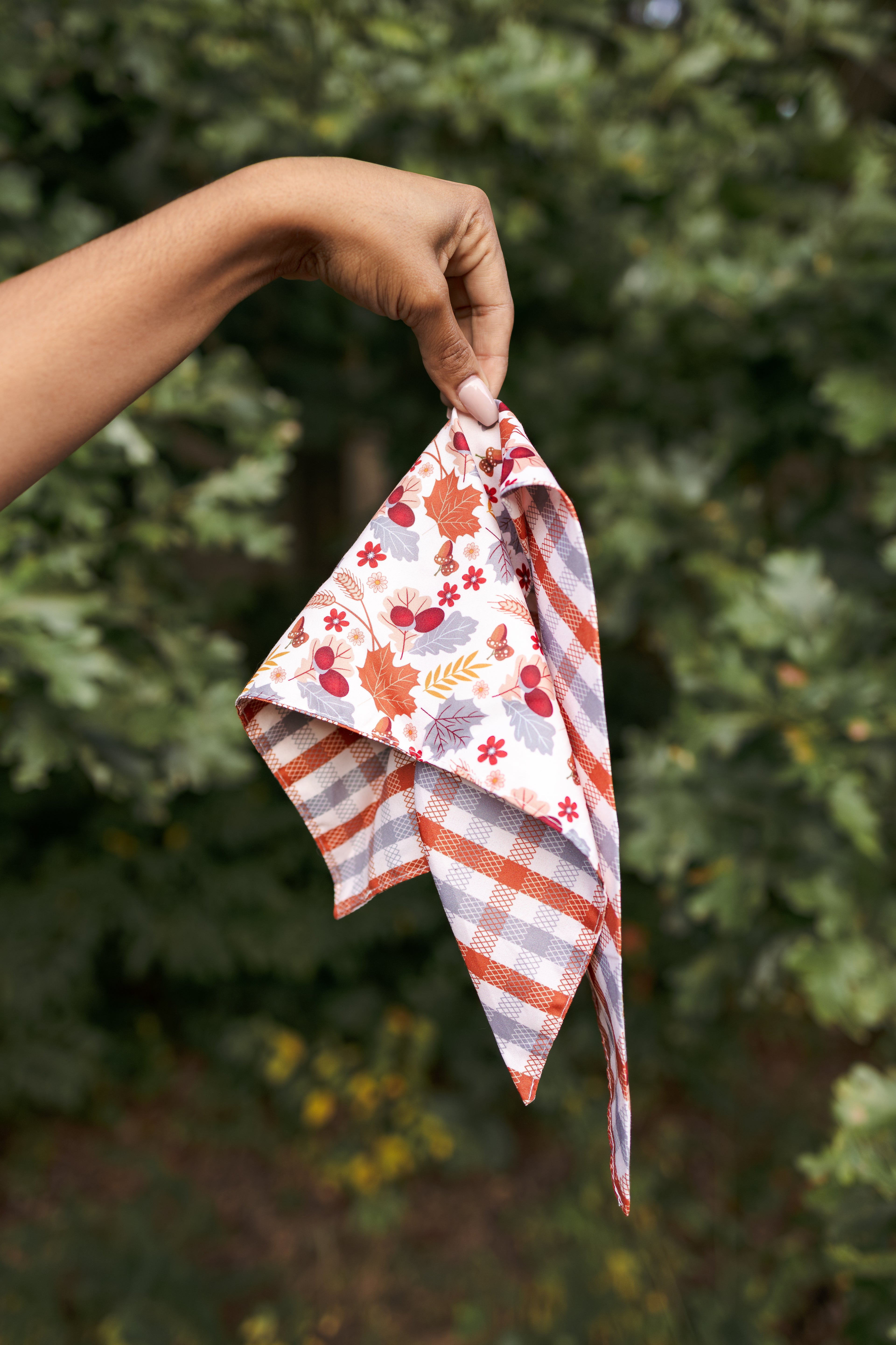 Dog Bandana – Autumn Glow