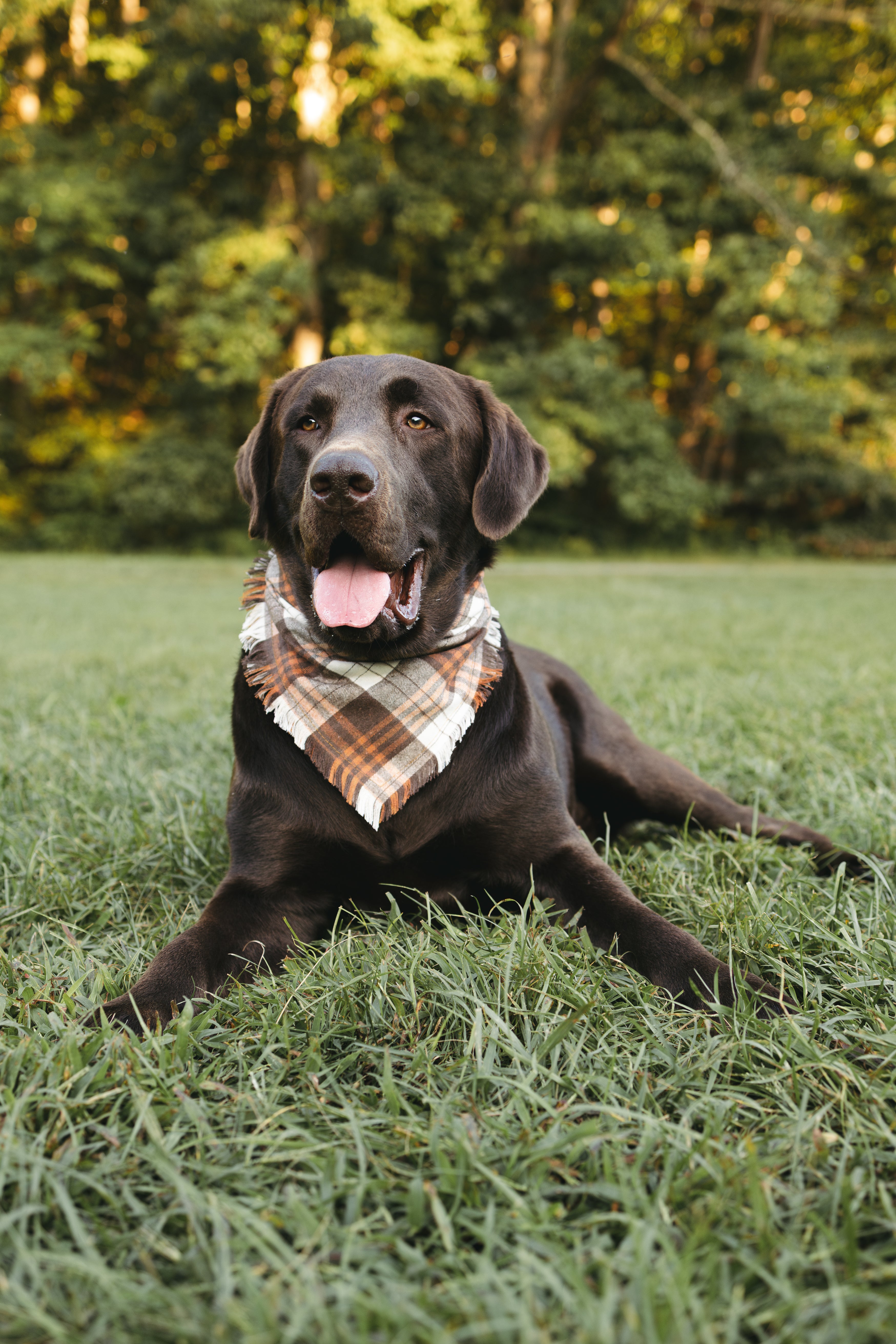 Dog Bandana – Woodland