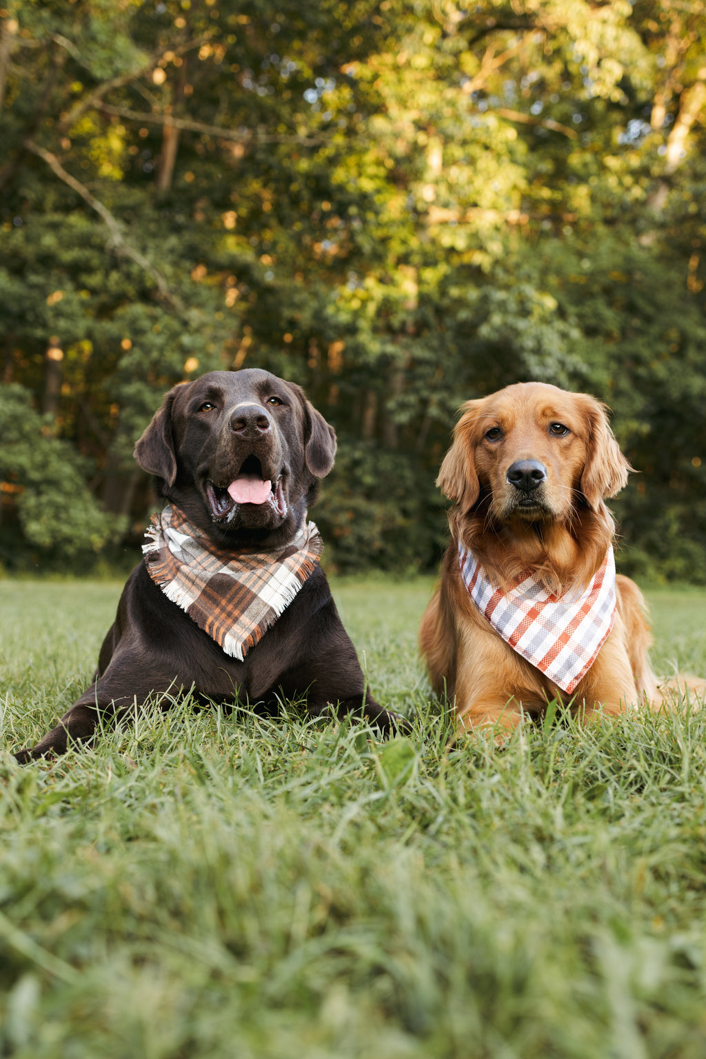 Dog Bandana – Woodland