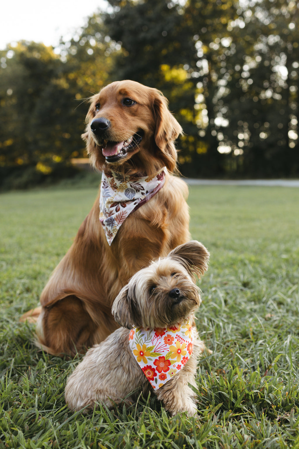 Dog Bandana – Flora Fall
