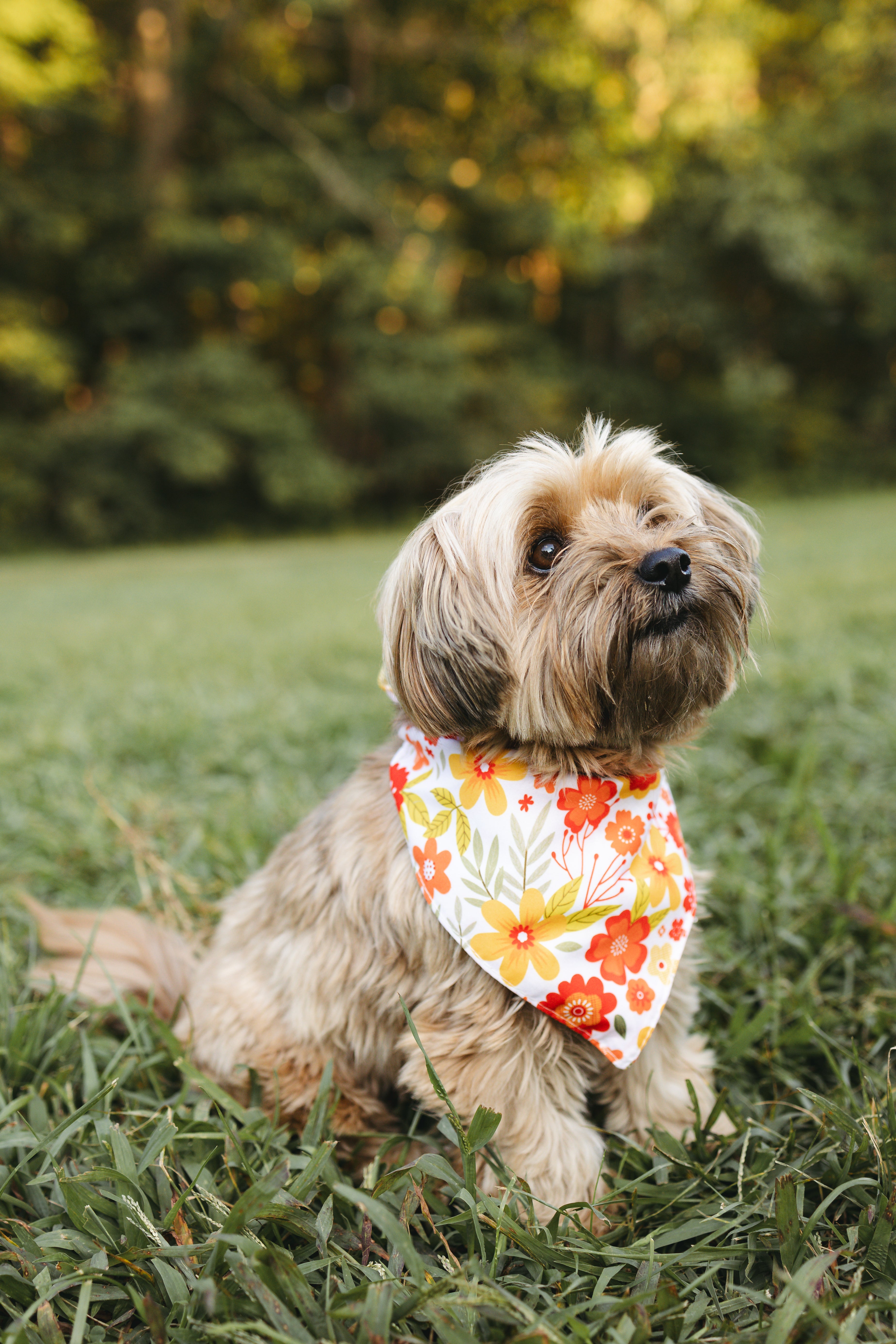 Dog Bandana – Flora Fall