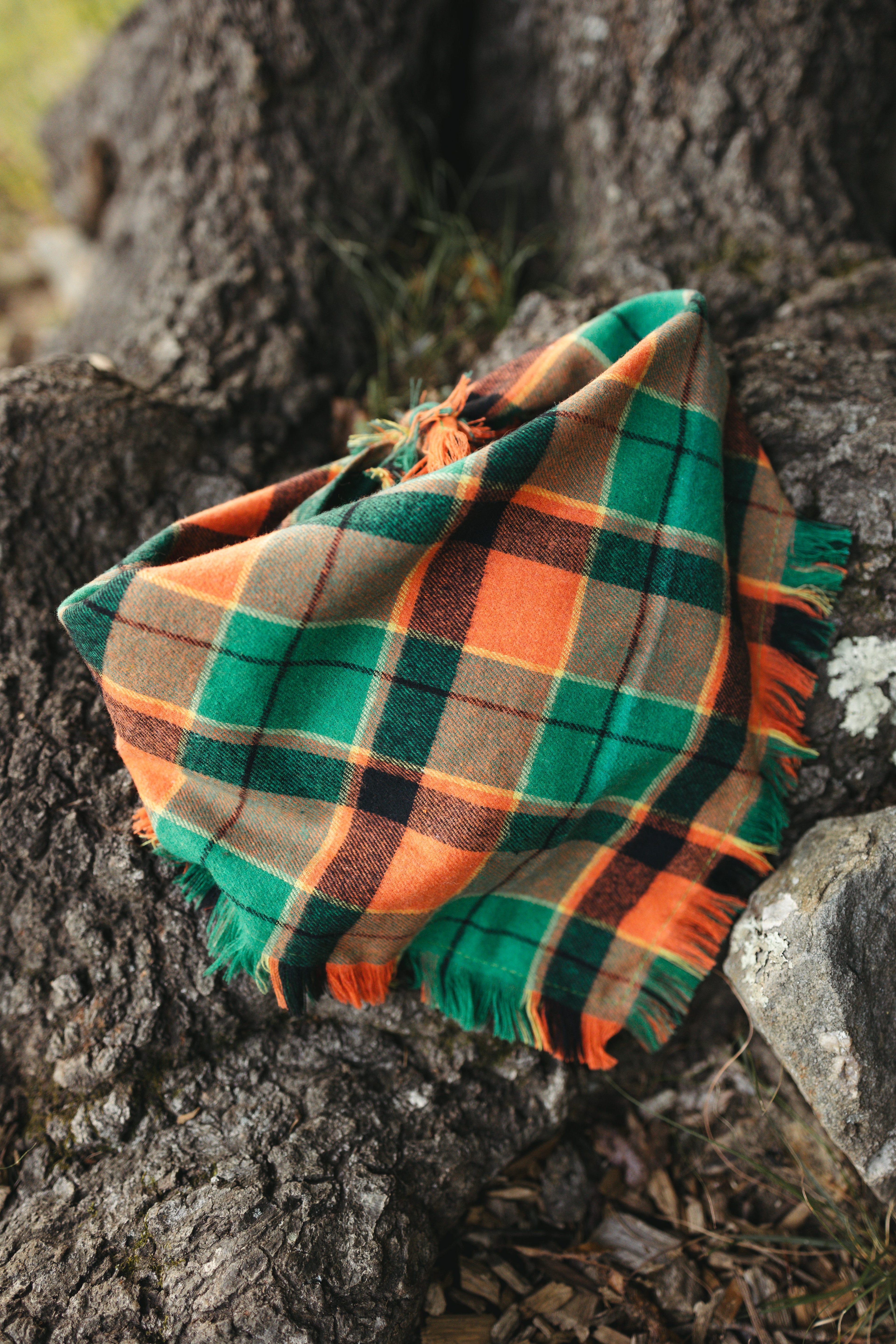 Dog Bandana – Forest Scout