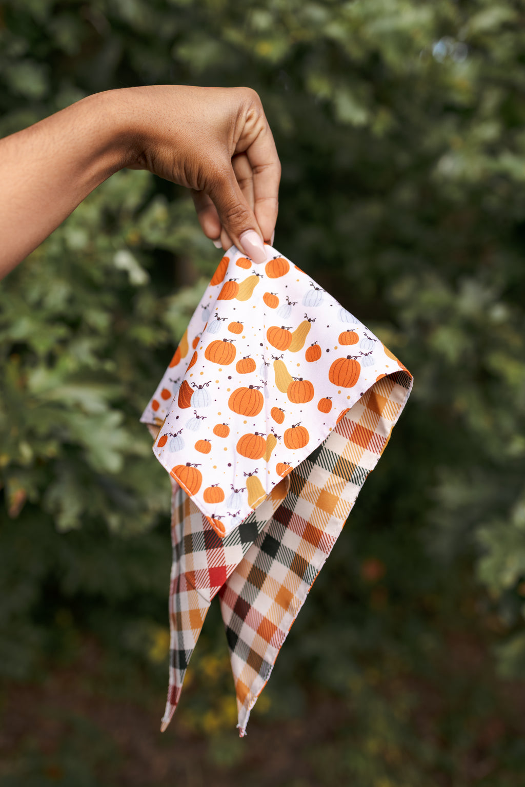 Dog Bandana – Pumpkin Spice