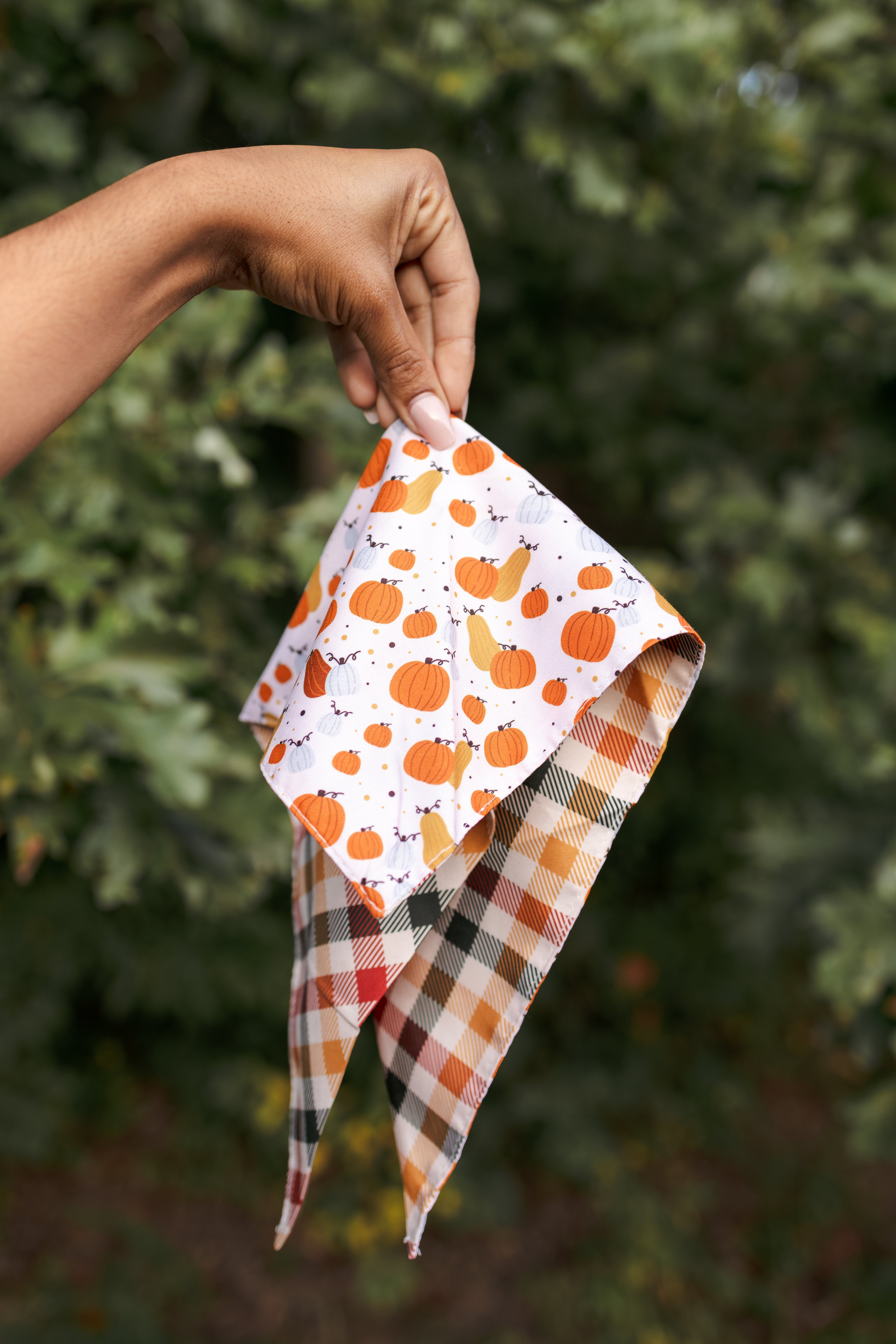 Dog Bandana – Pumpkin Spice