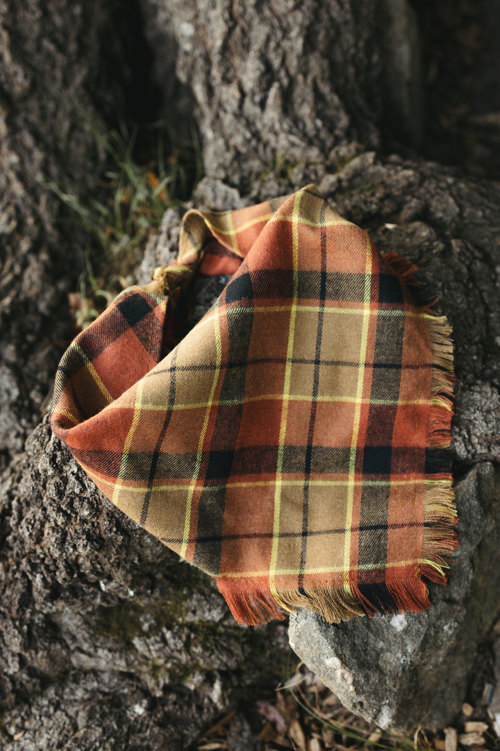 Dog Bandana – Cozy Fall