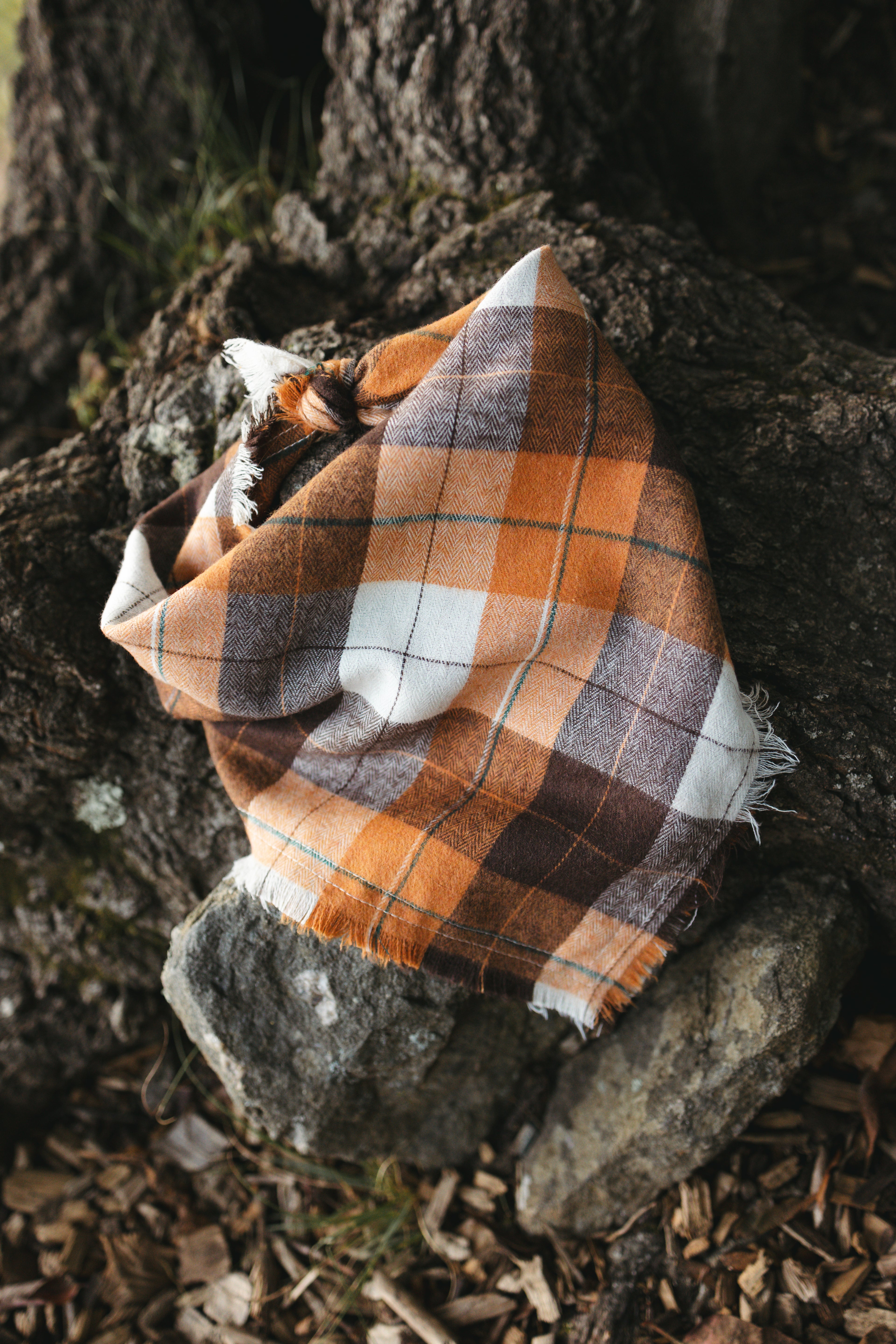 Dog Bandana – Autumn Trail